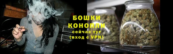 мяу мяу мука Елабуга