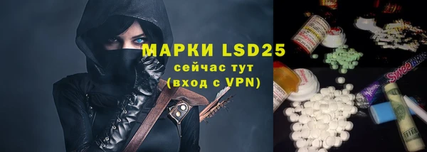 гашик Елизово