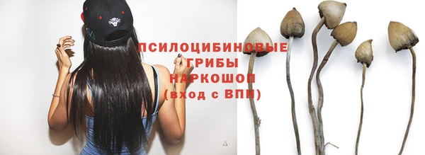 бутират Ельня