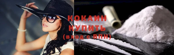 гашик Елизово