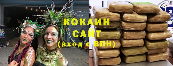 мяу мяу мука Елабуга