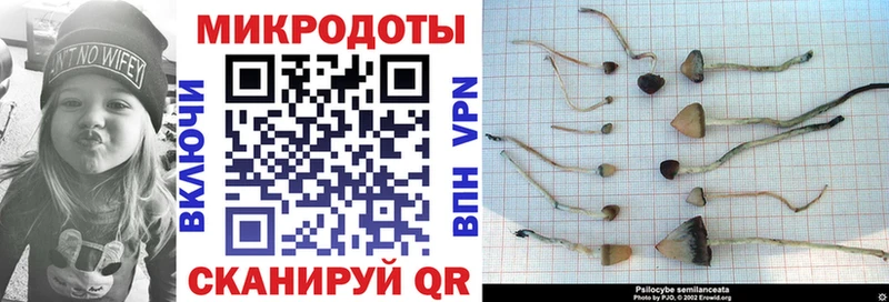 Галлюциногенные грибы MAGIC MUSHROOMS  Купить закладки  Брюховецкая 